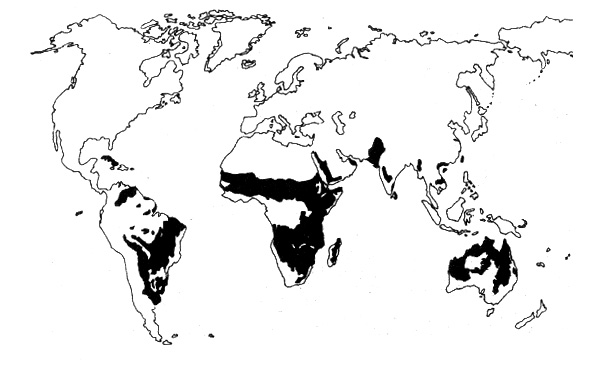 Карта саванн и каатинг