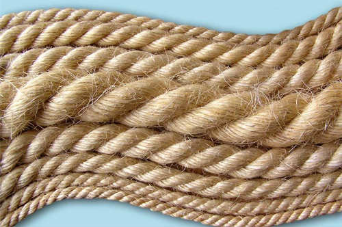 Сизалевое волокно получают из мясистых листьев агавы. Веревка сизалевая характеризуется хорошей прочностью: в странах Южной Америки раньше из нее сплетали корабельные канаты.