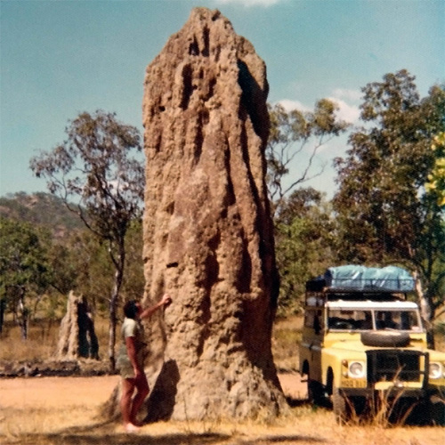 Термитник на берегу реки Аделаида (Австралия). Фото 1977 года
